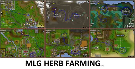 4) herbs. . Herb patches osrs